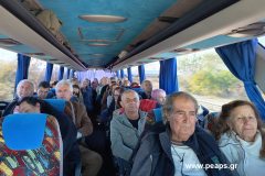 makedonia8